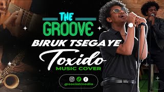 TOXIDOBiruk Tsegaye New Ethiopian cover Music 2024 [upl. by Toile]