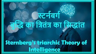 स्टर्नबर्ग का त्रितंत्र का सिद्धांत Sternberg’s triarchic Theory of Intelligence [upl. by Ytsanyd]