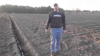 Judge Farms Fights Dry Weather with Drip Irrigated Field [upl. by Pillyhp656]