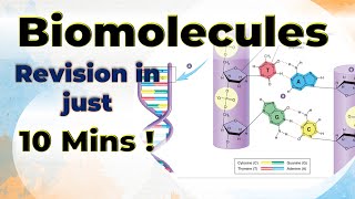 BIOMOLECULES in 60 Minutes  BEST for Class 12 Boards [upl. by Hoffmann]