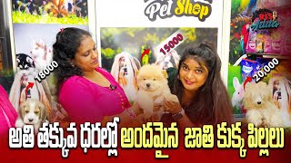 Cheapest Pets Shop with Prices  Buy 100 Original Breed Dogs  ToriRJsAdda [upl. by Attenhoj]