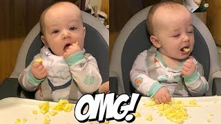 Baby Led Weaning Eggs 6 Month Old Eating Scrambled Eggs [upl. by Ahsenac]