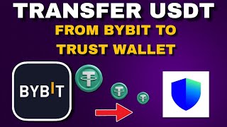 How To Transfer USDT From Bybit To Trust Wallet  Quick Guide [upl. by Noemad]