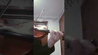 Veracini Violin Sonata No 1 Op1 [upl. by Machos]