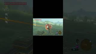 Zelda Breath of the Wild on the Wii u gamingchannel nintendo [upl. by Eirene]