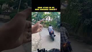 Snake Attack On R15 Rider Dangerous Snake 🤬🤬 youtubeshorts shorts trendingshorts [upl. by Thirzi]