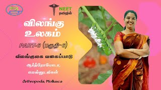 Animal Kingdom  Part 6 Classification of Animals  Arthropoda  Mollusca  NEET Tamil [upl. by Dnaltiac]