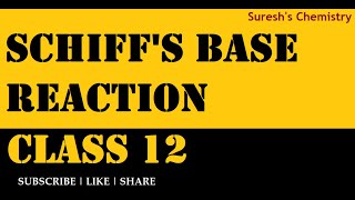 SCHIFFS BASE REACTION  Class 12  Carbonyl Compounds and Carboxylic Acids  Part  18  25 [upl. by Turino213]