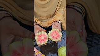 Rose Guava జామ harvesting cutting guava Guava mygarden gardening shortvideo ytshorts exotic [upl. by Ogires]