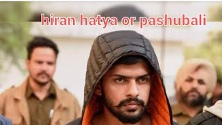 Lawrence Bishnoi Kya Hme Hiran Ko Marna Chahiye [upl. by Nyahs]