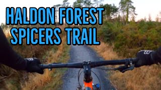 Spicers Trail  Haldon Forest Mountain Bike Trails Voodoo Bizango [upl. by Eecyac511]