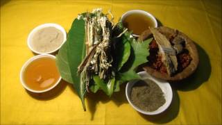 Breast Cancer Avoid Lemon Verbena Tea with these Formulations Film by Pankaj Oudhia [upl. by Mignon745]