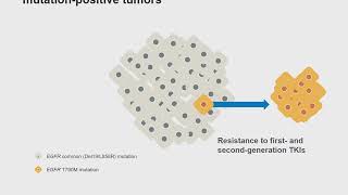 Tumor clonality in EGFR mutationpositive NSCLC [upl. by Adnesor482]