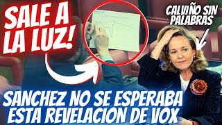 😱¡Vaya Sorpresa😱 Lo que Vox Reveló Sobre Sanchez y Calviño que los Dejó ¡Pasmados en el Congreso [upl. by Tomasina695]