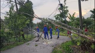 HUJAN RIBUT POKOK TUMBANG KE 2 KMPG GAJAH MATI ribut hujanderas mentakab [upl. by Dosia]