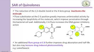 SAR of Quinolones [upl. by Akienaj]