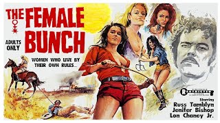 The Female Bunch 1971 Trailer 480p [upl. by Cornia]