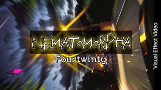 Nematomorpha  fourtwnty  Visual effect video [upl. by Eninnaj]