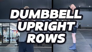 Dumbbell Upright Rows [upl. by Ck]