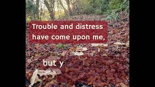 Verse for the Day  In the midst of detritus under the right conditions delight can grow [upl. by Haik]