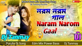 New Purulia Dj Song 2024  Naram Narom নরম নরম গাল Power Robot Bass Mix  Dj Tanmay Tm [upl. by Bromley]