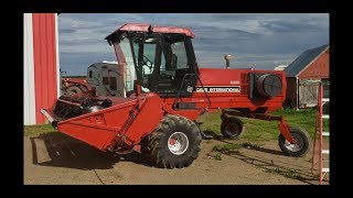 Cutting Hay With The 8830 Windrower [upl. by Eet744]