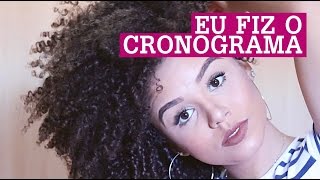 CRONOGRAMA CAPILAR o que é e como fazer  por Ana Lídia Lopes [upl. by Olocin201]