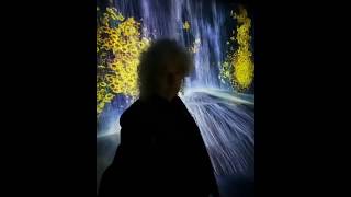 Brian May Experience at TeamLab Borderless Tokyo 24 Jan 2020 [upl. by Ainitsirhc279]