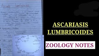 Ascariasis lumbricoides life cycle notes in hindi biology vbu science ascariasisnotes [upl. by Shiff]