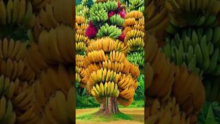 a new method of how to plant and propagate banana trees from leavesgrowing fruits fruits [upl. by Leigha663]