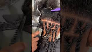 hairstyleideas braids hairstyles [upl. by Lissa]