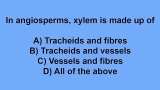 In angiosperms xylem is made up of [upl. by Terence]