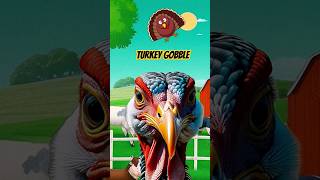 Turkey Noises shorts  🦃Turkey Gobble [upl. by Maupin]