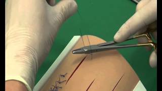 CSL Cruciate suture pattern [upl. by Romilda]