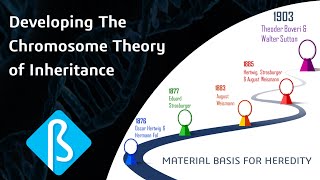 Developing The Chromosome Theory of Inheritance BI04 [upl. by Immas787]