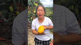 Mango Orchard 🥰 shorts ytshorts [upl. by Devondra]