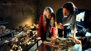 Pompeii  Life and Death in a Roman Town  Mary Beard [upl. by Oicaroh450]