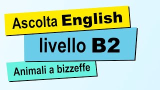 Esercizi di ASCOLTO inglese Migliora Lascolto [upl. by Cerelia]