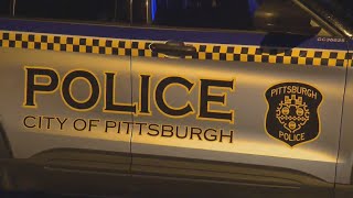 Pittsburgharea National Night Out events aim to improve communitypolice relations [upl. by Wendt]