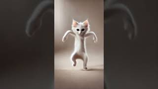 White dance cat cat dancingcat cute dancingpet catdancer [upl. by Tavey967]