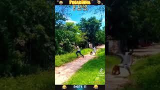 Lion Prank try not to laugh funny prank [upl. by Emersen890]