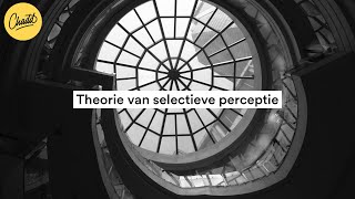 Theorie van selectieve perceptie  Mr Chadd Academy [upl. by Silas]