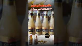 3 เหตุผลที่ทำให้เครื่องดื่มแช่ฟิซ แตก alsociety beer เครื่องดื่ม [upl. by Ziagos]