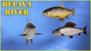 Belaya River 99 Russian Fishing 4 mjplay [upl. by Morrell]