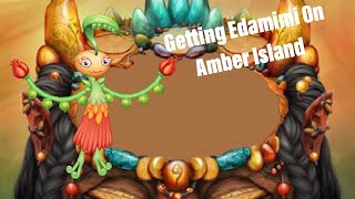 Getting Edamimi On Amber Island [upl. by Eiuqcaj]