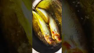 Pabda fish curry Bengali style fish curry  fishcurry shorts short shortsvideo youtubeshorts [upl. by Anahsar]