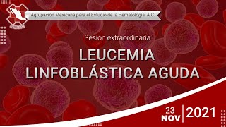 Leucemia linfoblástica aguda [upl. by Hartley]