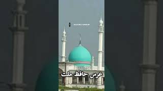 Urs e hafiz e millat [upl. by Akcinat80]