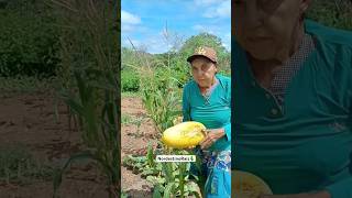 Sempre honre seu pai e sua mãe nunca desrespeite sua mãe sempre trate com carinho🌵 [upl. by Haley931]