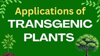 Applications of transgenic plants  Plant biotechnology  GM crops applications [upl. by Nylecoj]